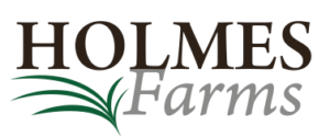 Holmes Logo